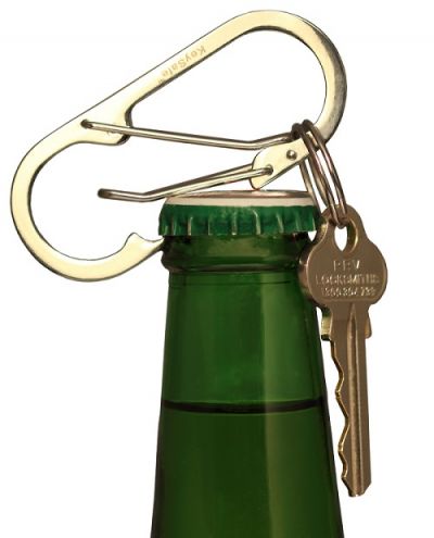 KeySafe Carabiner and Keyring